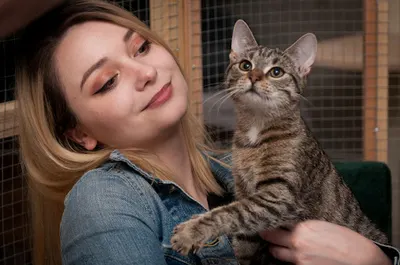 kot kotu kotem - koci behawiorysta